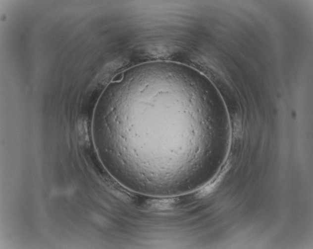 X0000074300182200609011456