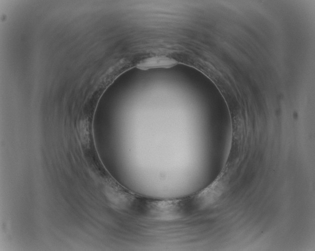 X0000074300184200609011456