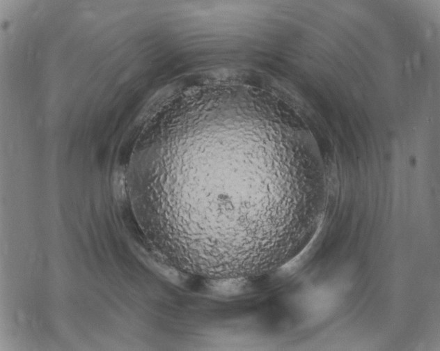 X0000074300191200609011456
