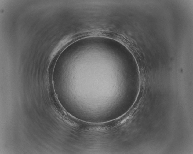 X0000074300198200609011455