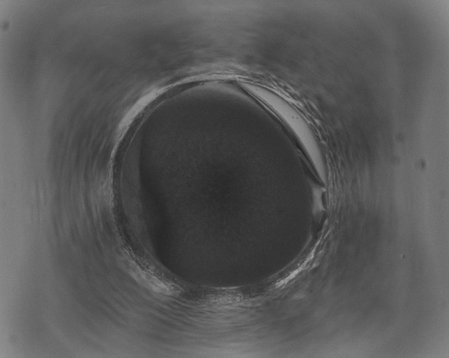 X0000074300200200609011455