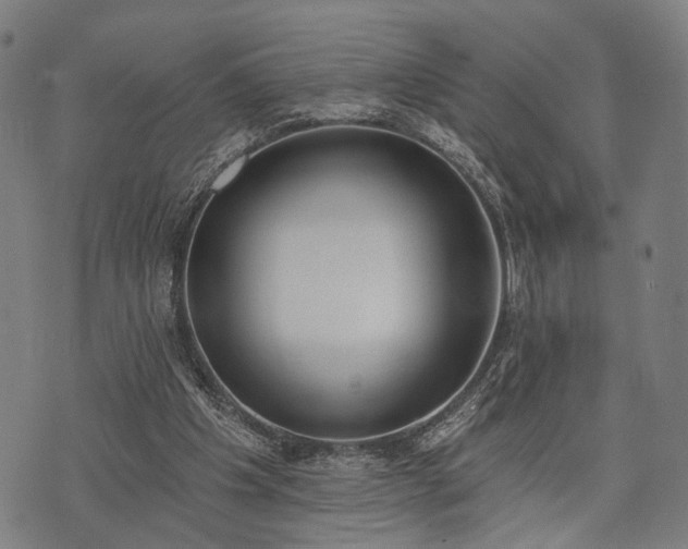 X0000074300201200609011455