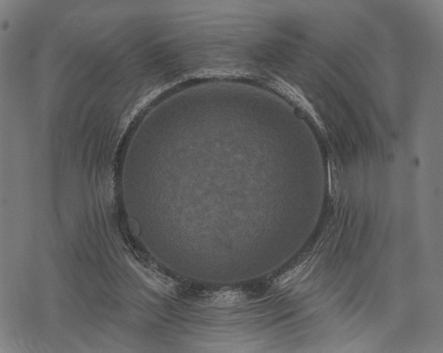 X0000074300204200609011455
