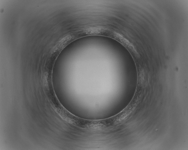 X0000074300209200609011455