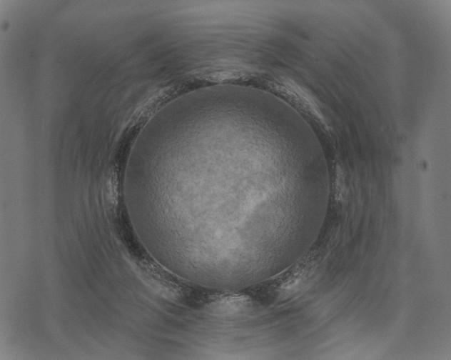 X0000074300210200609011455
