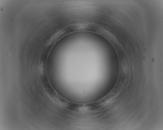X0000074300216200609011455