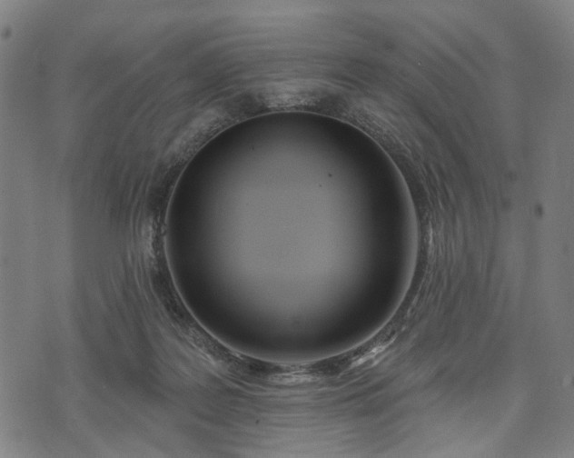 X0000074300219200609011455