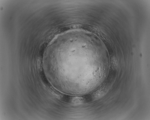 X0000074300222200609011455