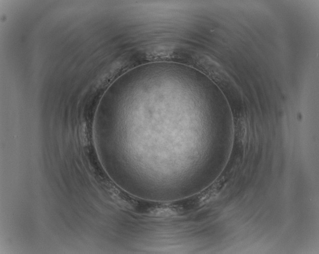 X0000074300224200609011455