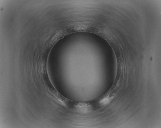 X0000074300227200609011455