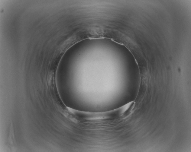 X0000074300233200609011455