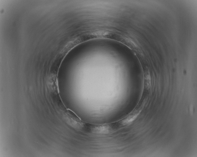 X0000074300237200609011455