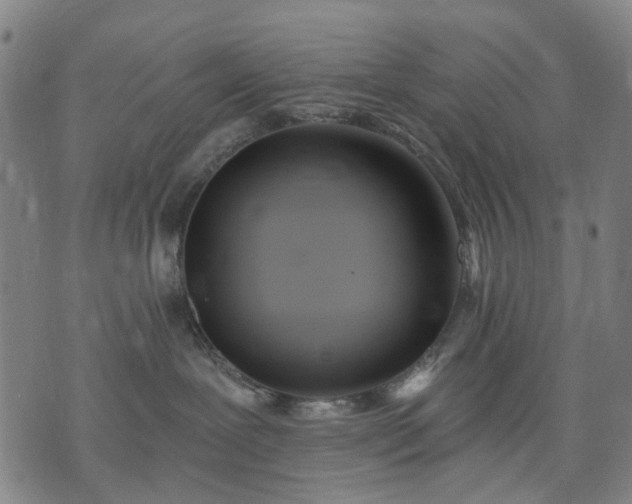X0000074300239200609011455