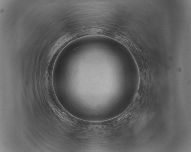 X0000074300242200609011454