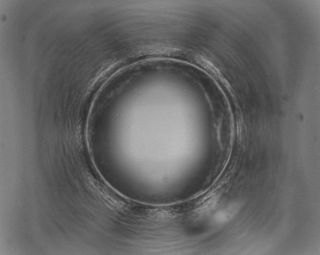 X0000074300249200609011454