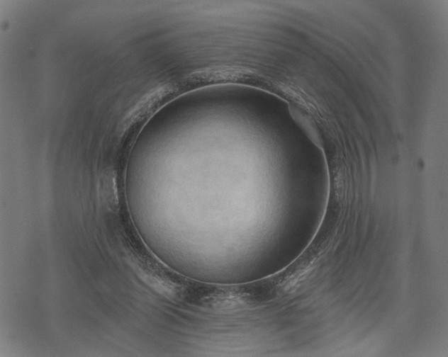 X0000074300254200609011454