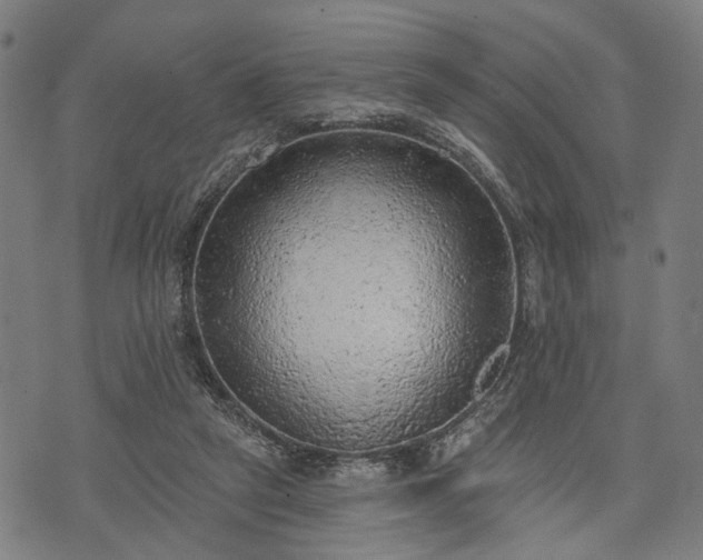 X0000074300257200609011454