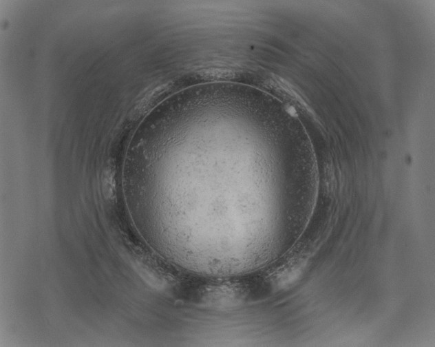 X0000074300259200609011454
