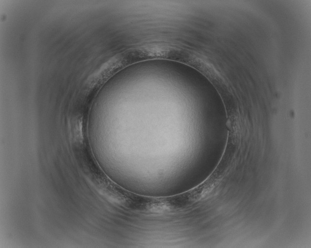 X0000074300262200609011454