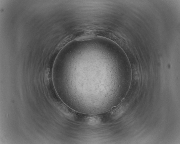 X0000074300275200609011455