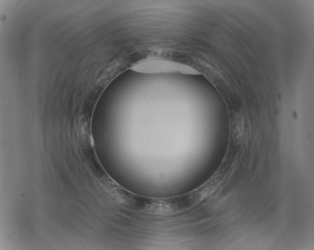 X0000074300276200609011455