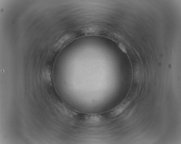 X0000074300282200609011455
