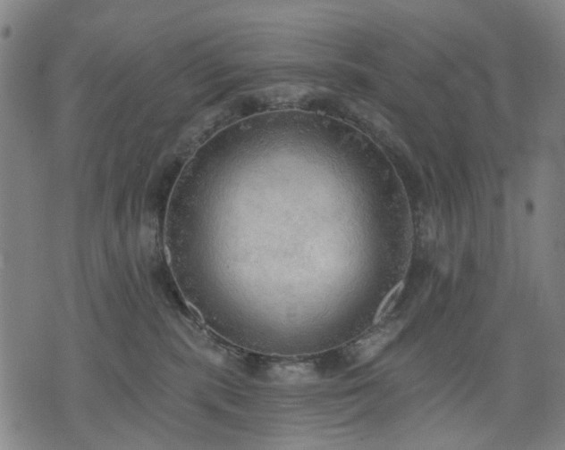 X0000074300283200609011455