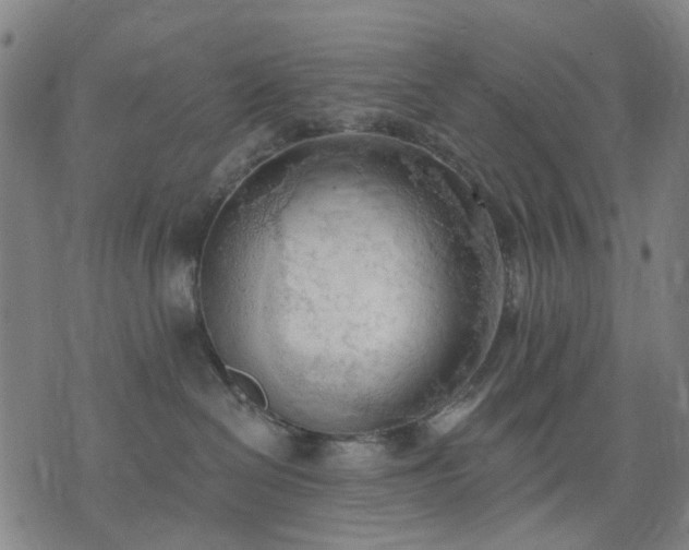 X0000074300286200609011455