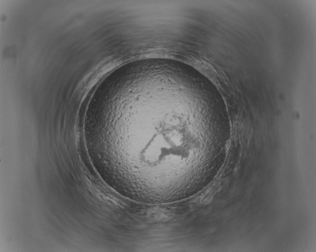 X0000074300290200609011454