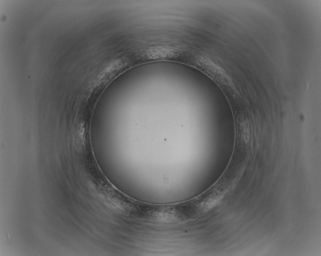 X0000074300308200609011454