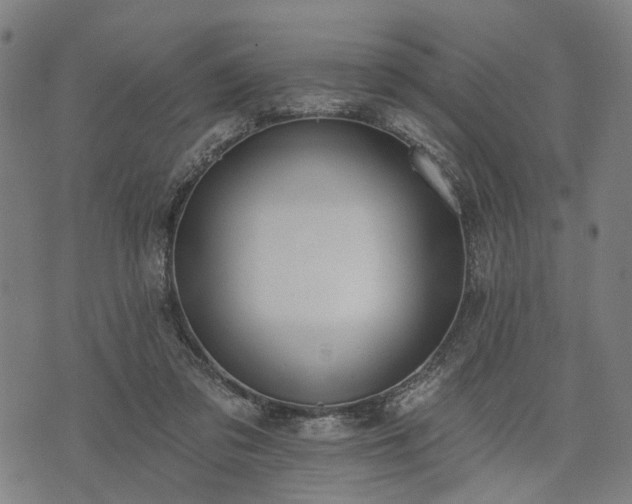 X0000074300309200609011454