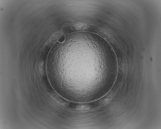 X0000074300319200609011453