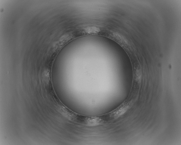 X0000074300321200609011453