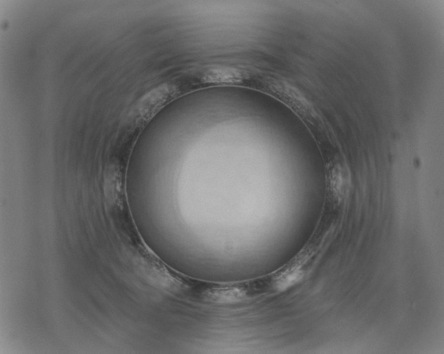 X0000074300322200609011453