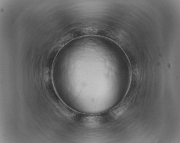 X0000074300323200609011453