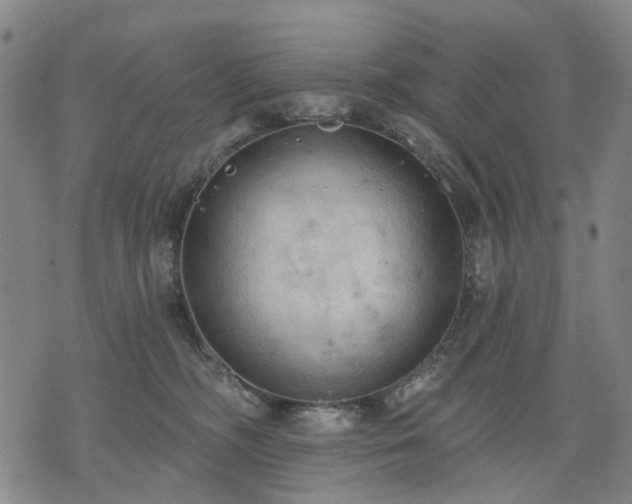 X0000074300326200609011453