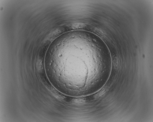 X0000074300327200609011453