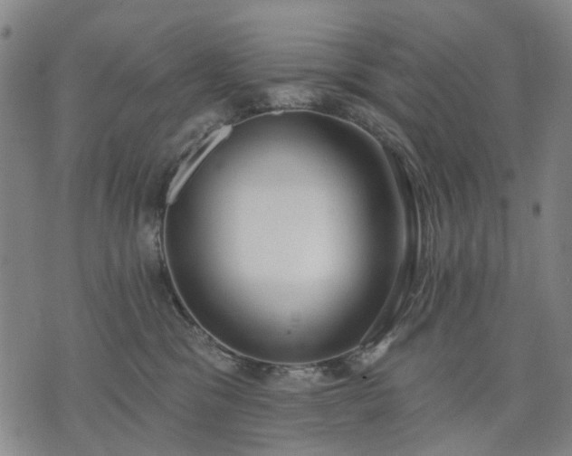 X0000074300329200609011453