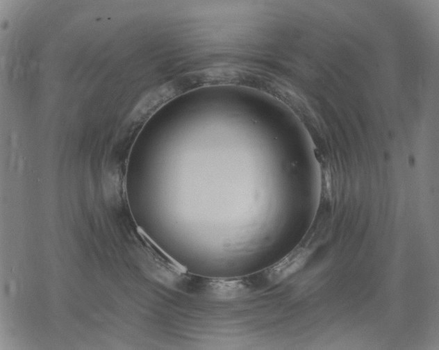 X0000074300333200609011453