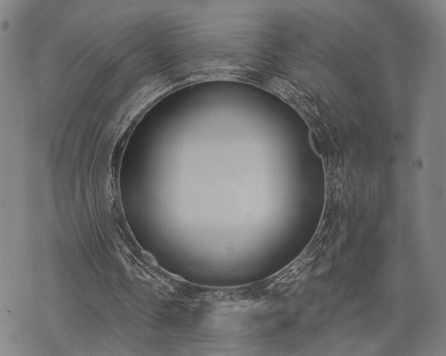 X0000074300338200609011452