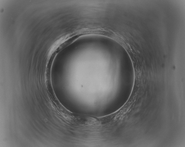 X0000074300340200609011452