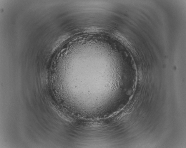 X0000074300347200609011453
