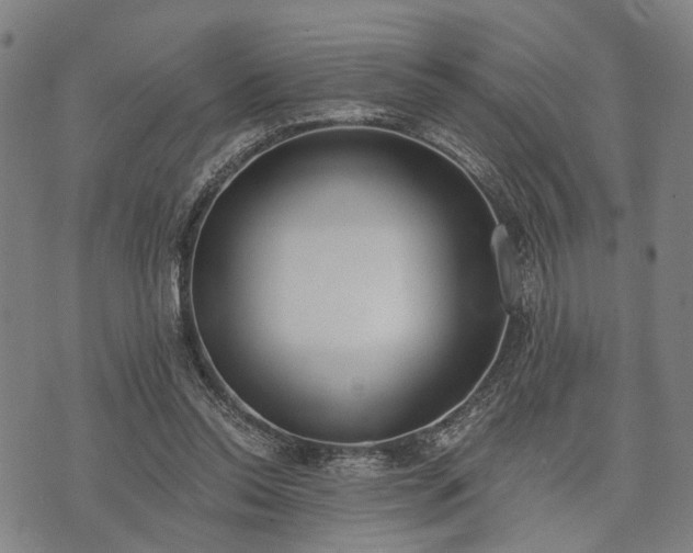 X0000074300350200609011453