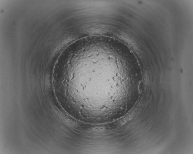 X0000074300353200609011453