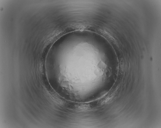 X0000074300359200609011453