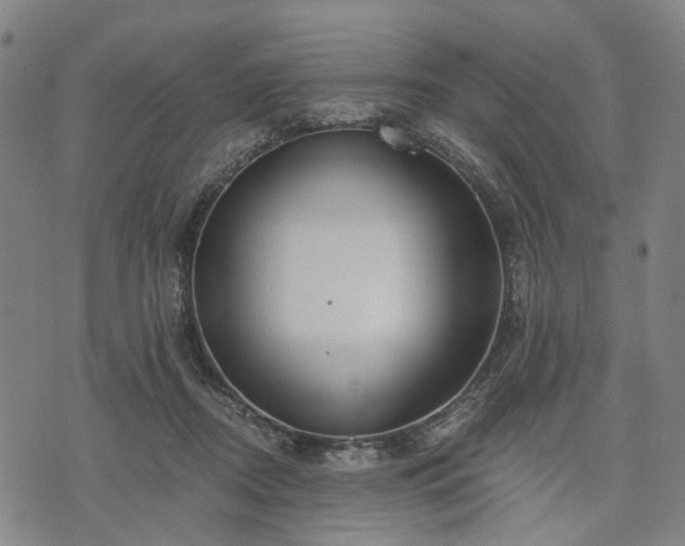 X0000074300362200609011453