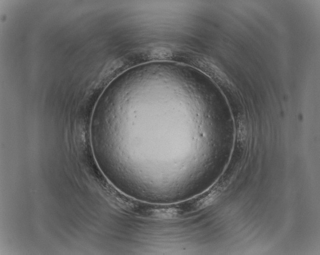 X0000074300363200609011453
