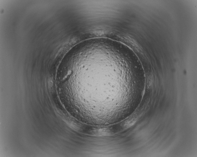 X0000074300365200609011453