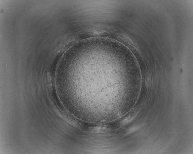 X0000074300366200609011453
