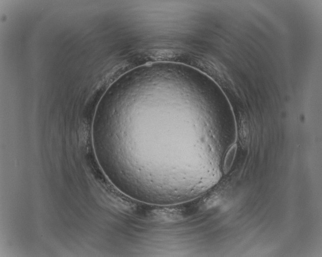 X0000074300367200609011453